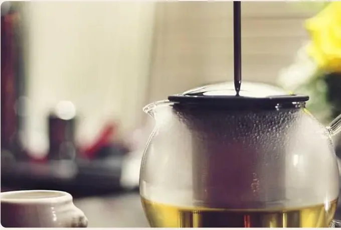Tea in a sunlit room